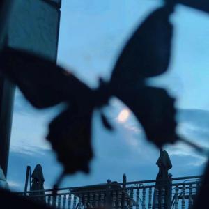 男男GaYGAYS✅男同肌肉
