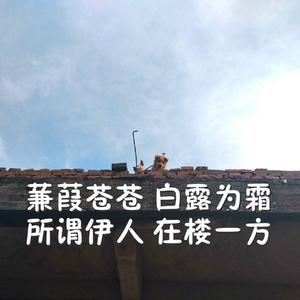 男男GaYGAYS✅男同肌肉
